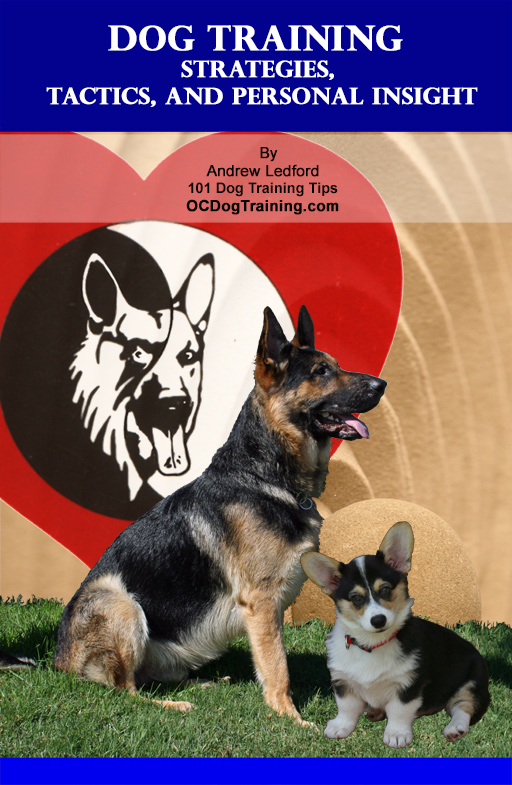 Dog Training Strategies, Tactics, and Personal Insight