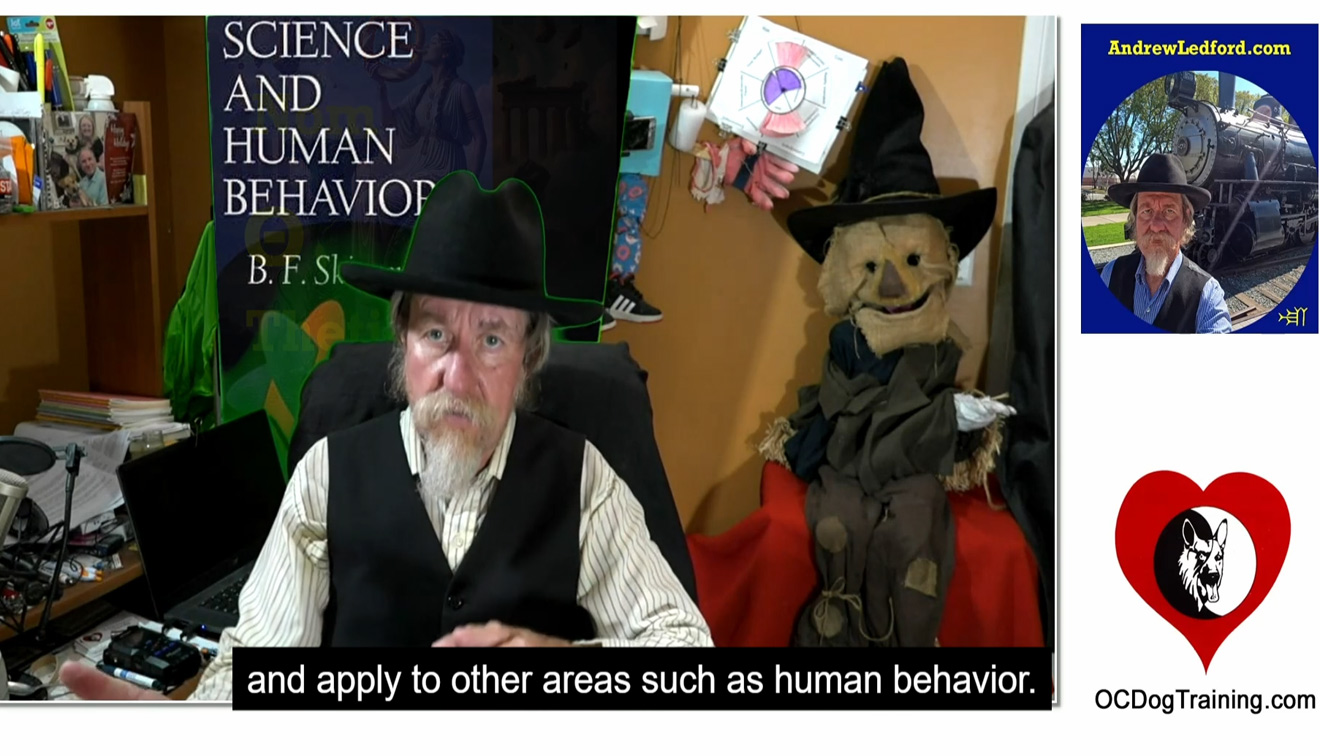 What Animals Can Teach Us About Business Management and Sales top