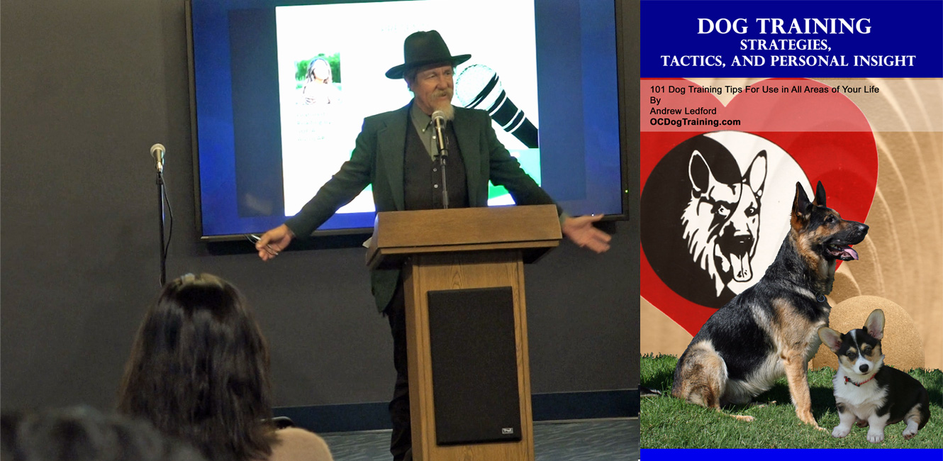 Dog Training Strategies Tip 1 Talk