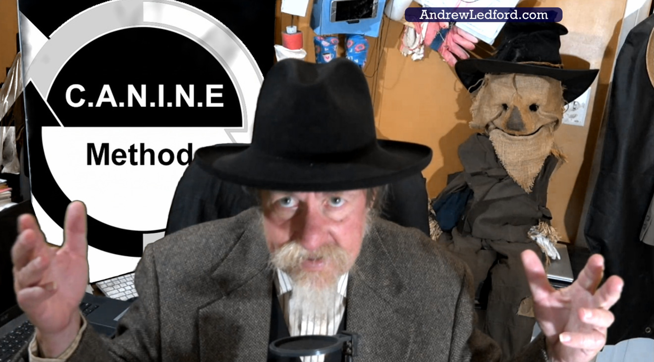 New Year's 2025 End of Year Video