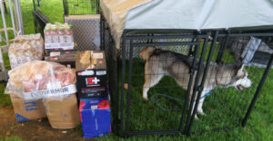 Kennel Eviction Rescue at Schabarum Park