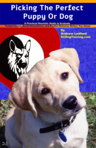 Picking The Perfect Puppy Or Dog