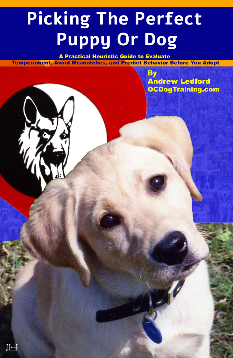 Picking The Perfect Puppy Or Dog Book