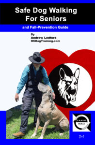 Safe Dog Walking For Seniors and Fall Prevention Guide
