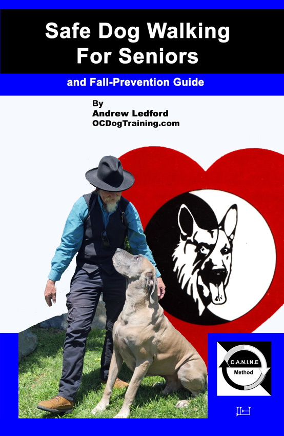Safe Dog Walking For Seniors and Fall Prevention Guide